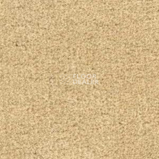 Ковролин Radici Admiral Vanilla 2229 фото 1 | FLOORDEALER